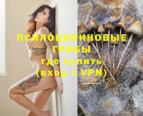 винт Баксан