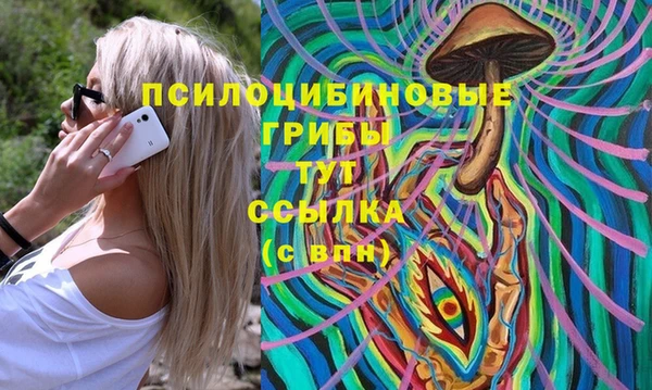винт Баксан
